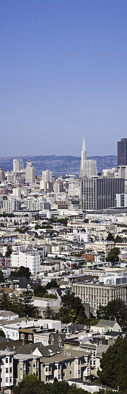 摩天大楼和屋顶市中心旧金山垂直全景加利福尼亚