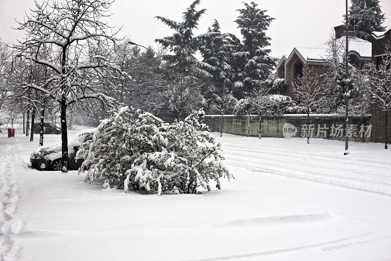 冬天的场景。雪。彩色图像