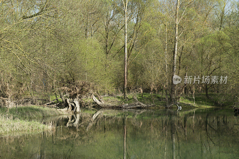 河流景观与树木