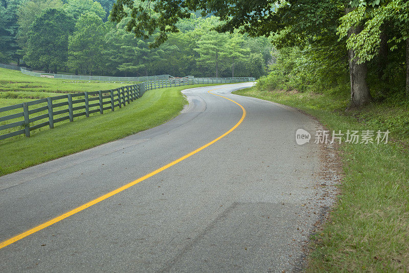 蜿蜒的道路