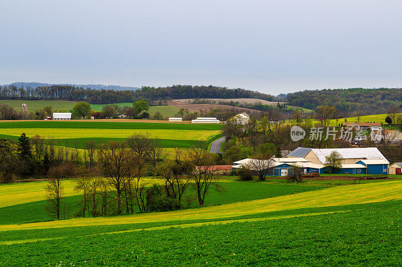 宾夕法尼亚州的乡村和农场在春天靠近库兹敦。田地刚刚开始犁地。
