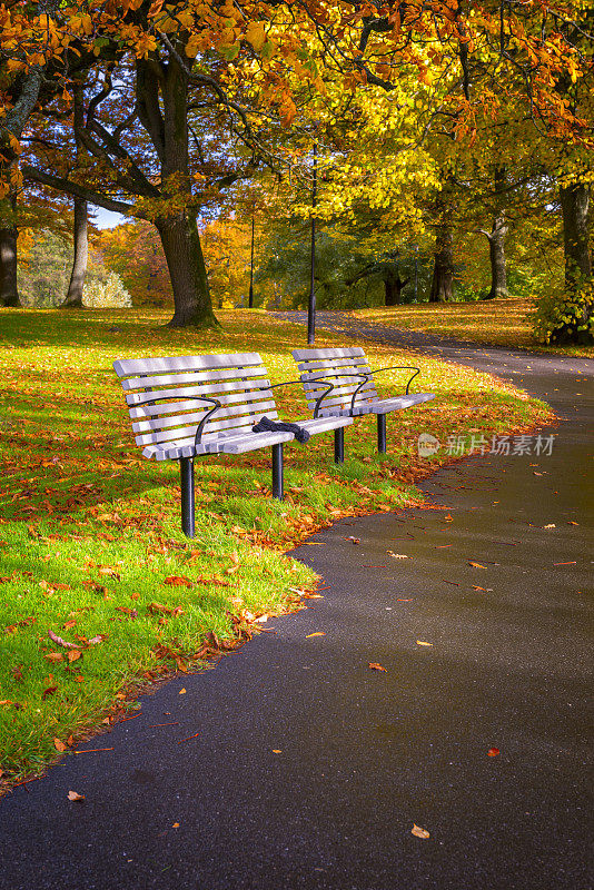 秋天的早晨，斯洛茨科根公园