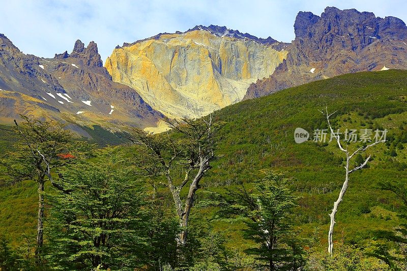 智利巴塔哥尼亚的山峰和森林景观日出，托雷斯德尔潘恩