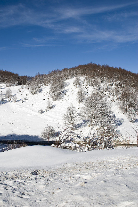 雪在山上