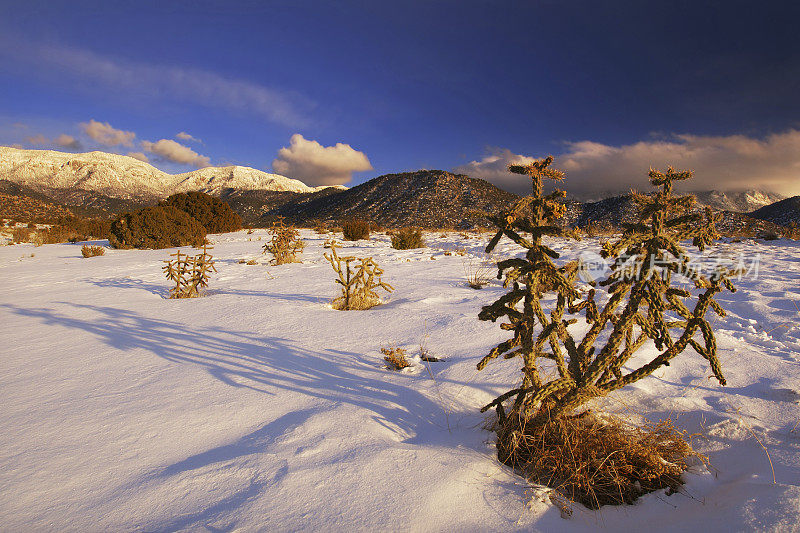 雪西南风景