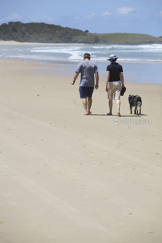 海滩情侣和狗