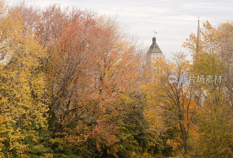 魁北克市的秋天的树木