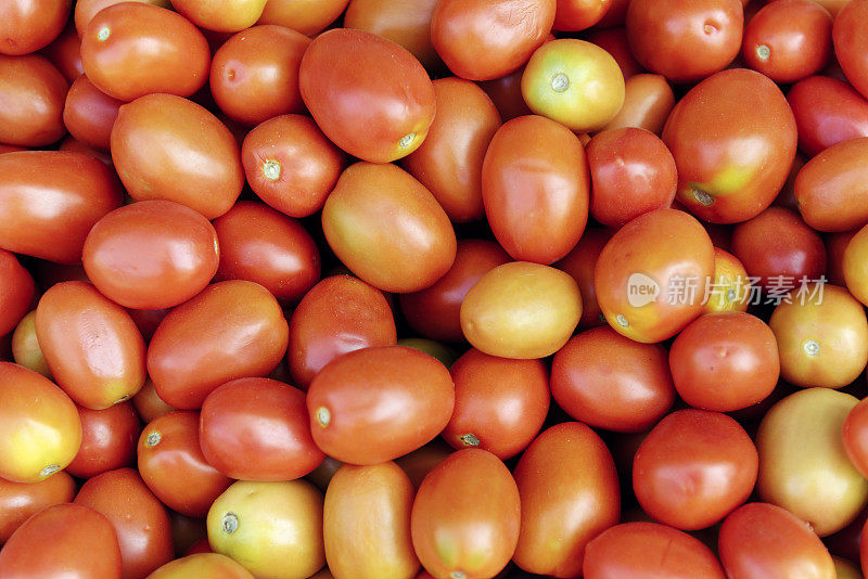 大量的新鲜有机李子番茄。