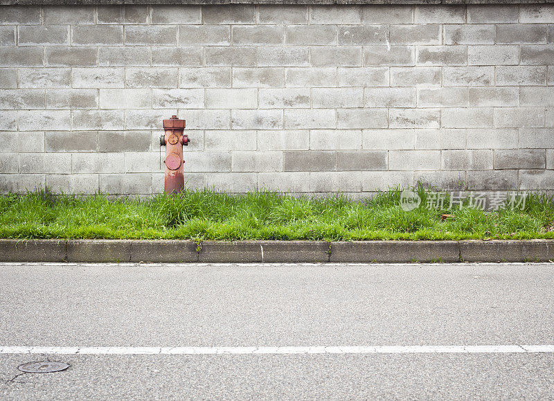 带有消火栓草和街道的砖墙