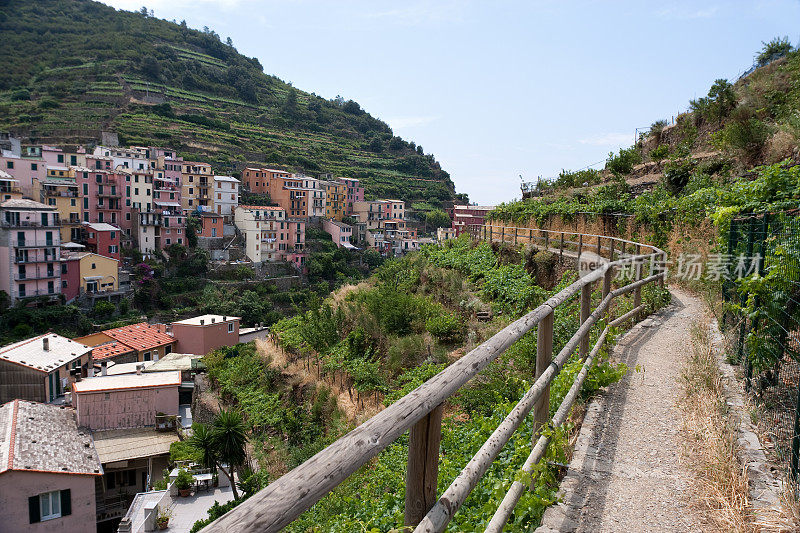 葡萄园的Manarola