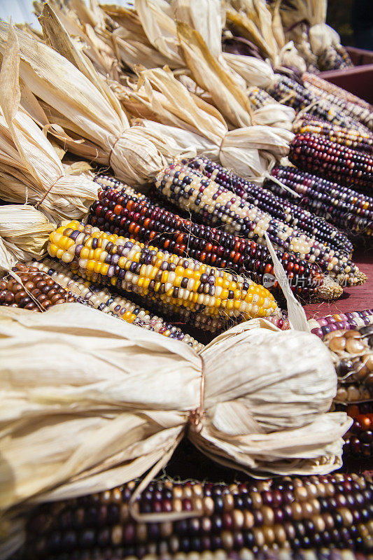 乡村集市上的印第安玉米