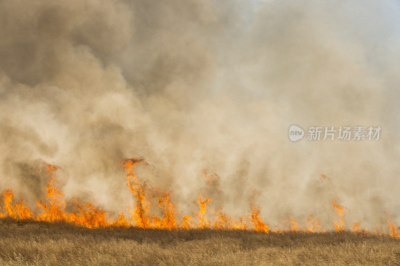 农村农场附近草地野火燃烧产生的烟雾和火焰