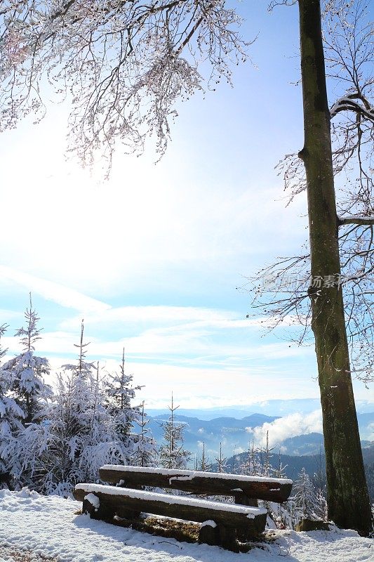 黑森林里有雪和太阳的冬天