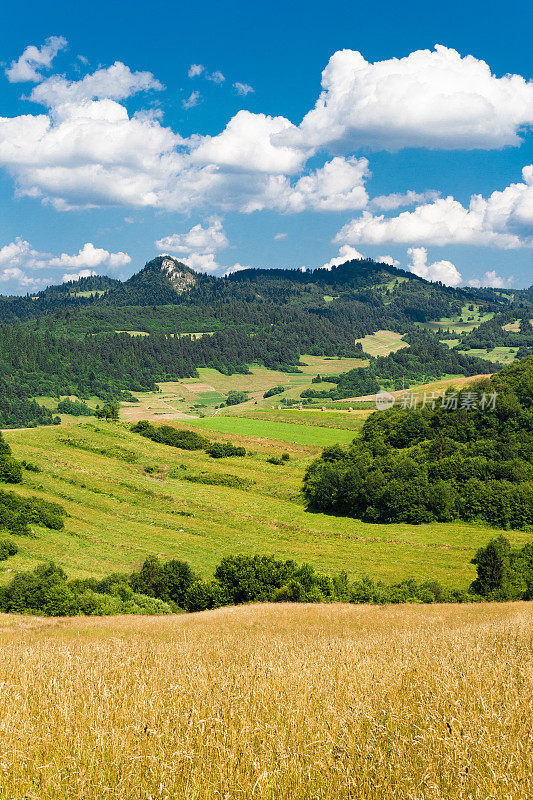 夏天在山脉。Pieniny,斯洛伐克。