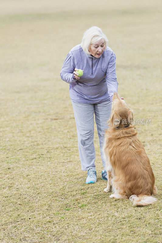 年长的女人和金毛猎犬玩接球