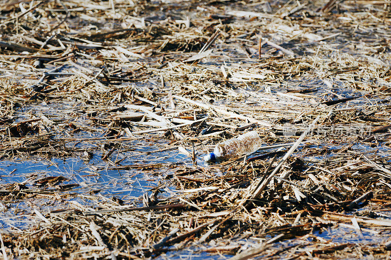 春季垃圾-沼泽中丢弃的塑料水瓶