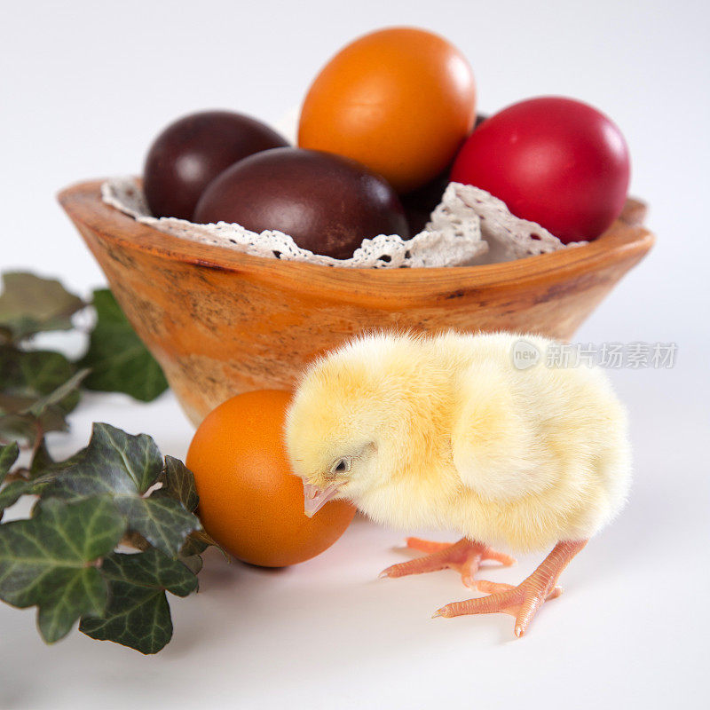 复活节彩蛋和小鸡