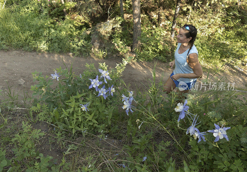 年轻女子trail跑熊溪耧斗菜花科罗拉多山脉