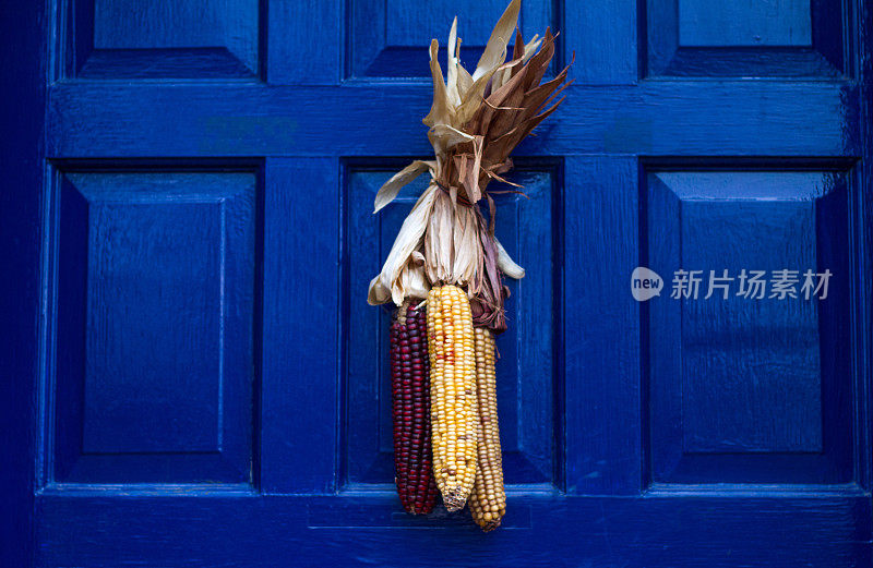 蓝门上的印第安玉米装饰