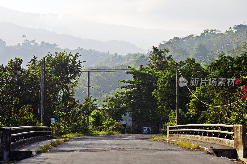 丛林的道路