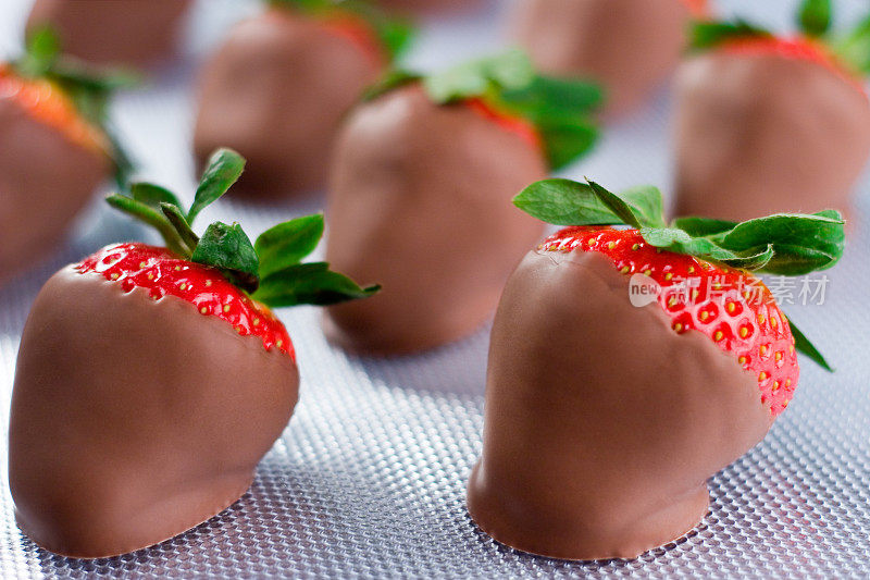 巧克力覆盖草莓干燥