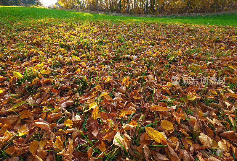 秋天的草原