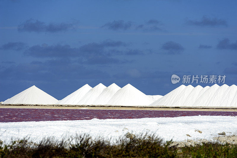 博内尔岛的盐湖平原