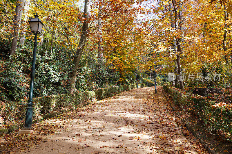 秋天的阿尔罕布拉花园