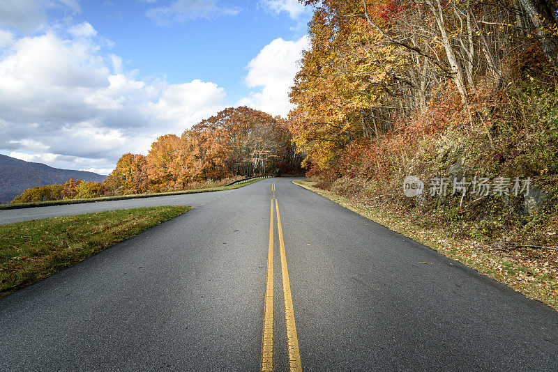 在秋天，蓝岭公园路的风景