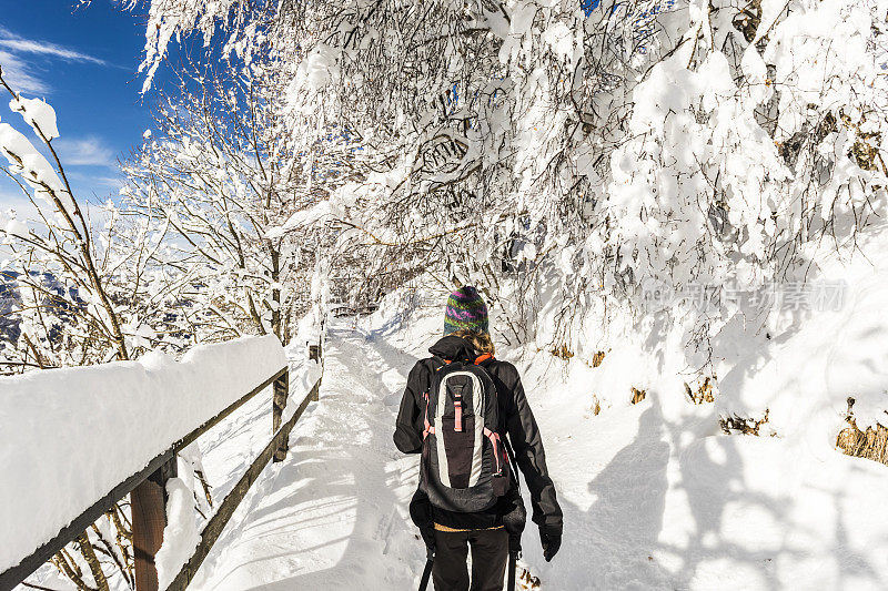 徒步旅行者在白雪覆盖的树林里行走