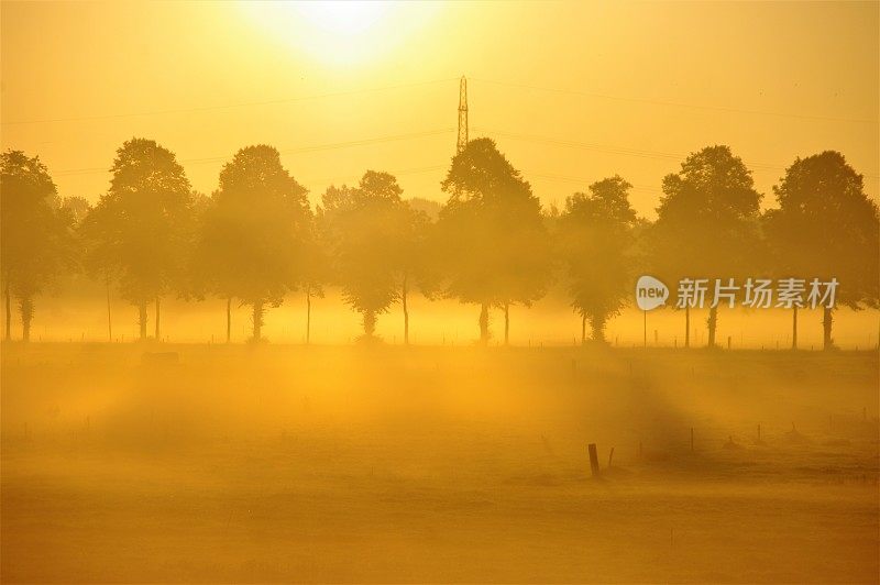 密集的日出