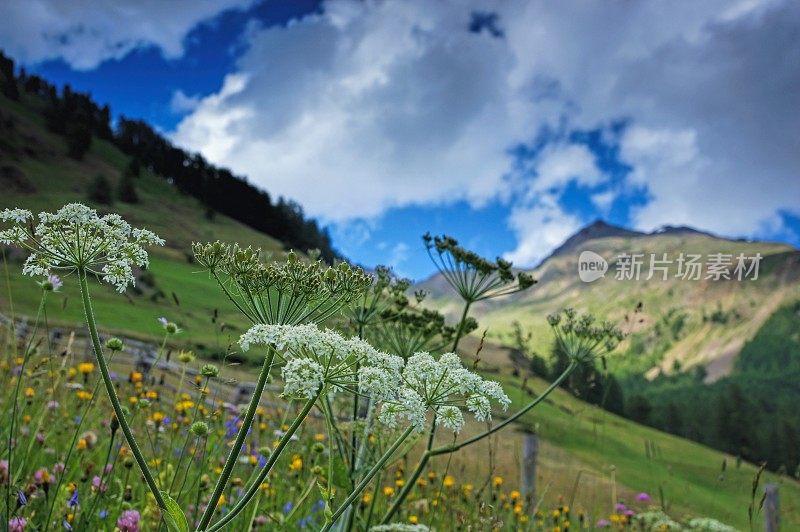 Vernagt湖边的群山