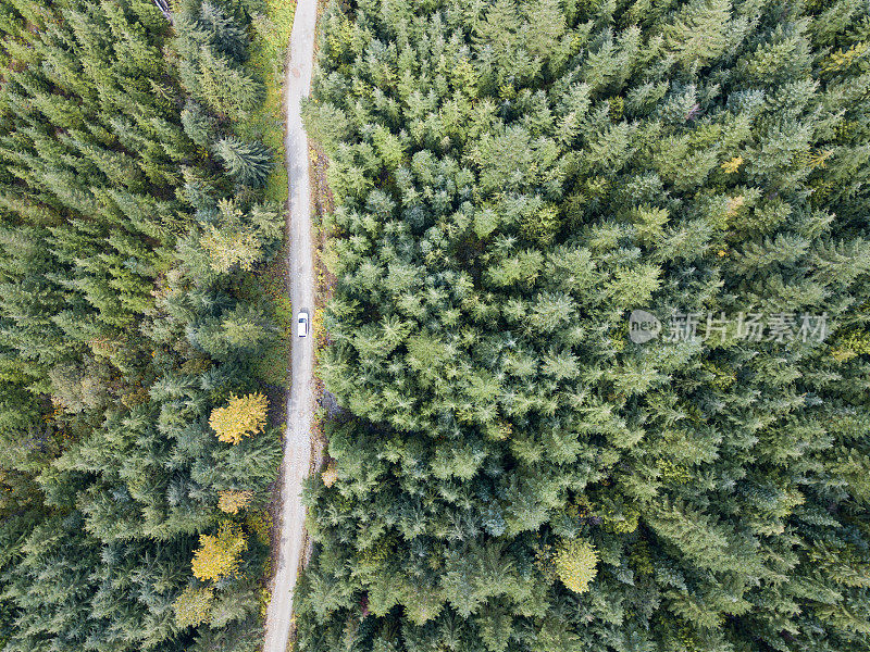 森林服务道路上的汽车鸟瞰图