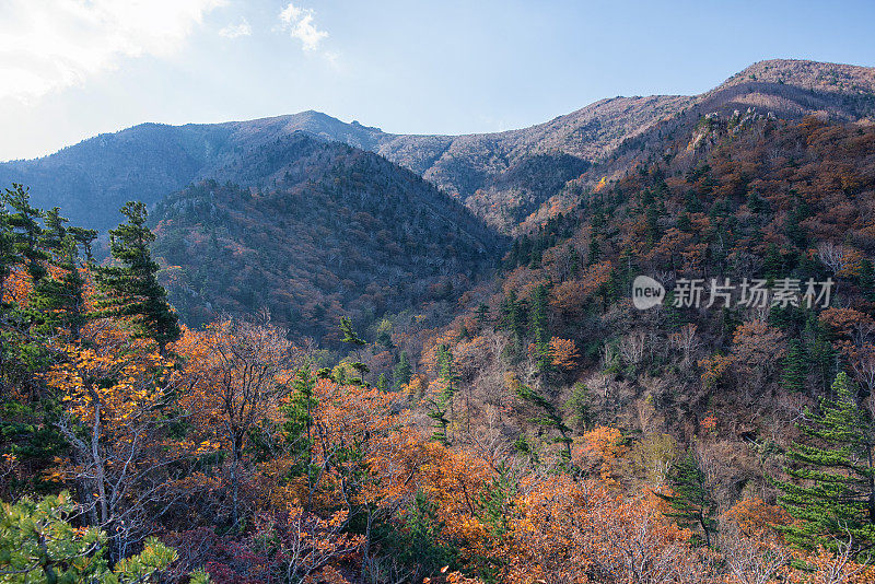 秋天Seoraksan山