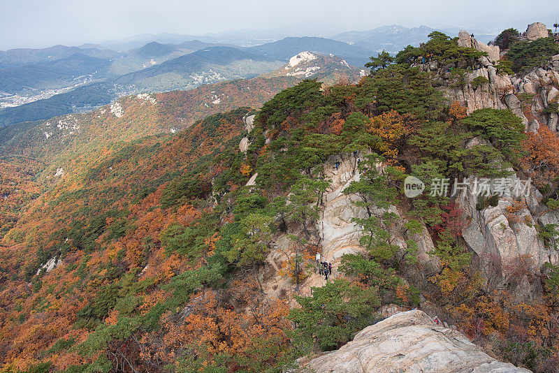 韩国首尔的秋山