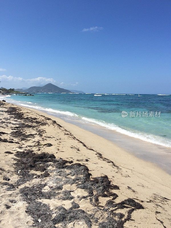 西印度群岛尼维斯岛赫伯特海滩