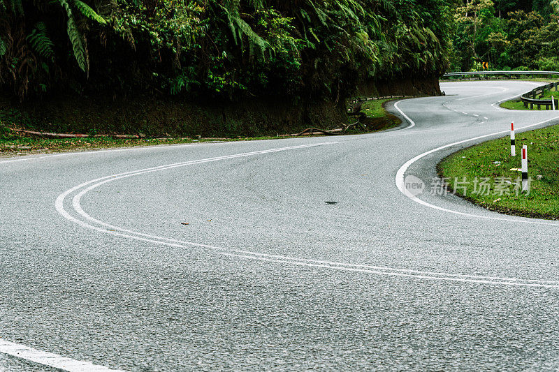 蜿蜒的道路穿过雨林