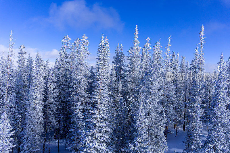 滑雪斜坡和缆车景观