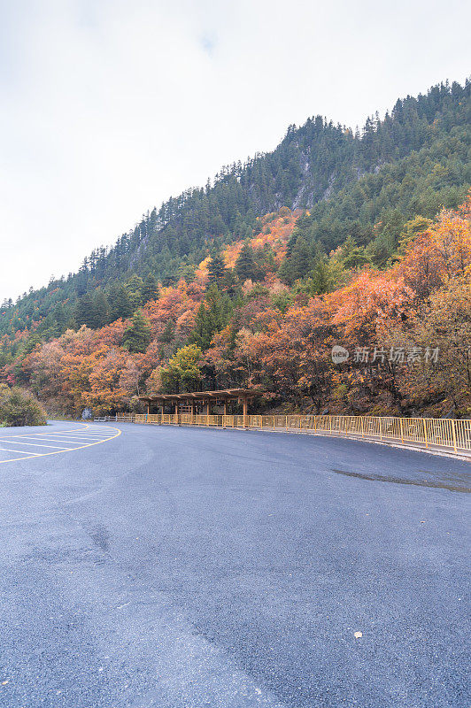 九寨沟自然保护区(九寨沟国家公园)美丽的珍珠滩瀑布