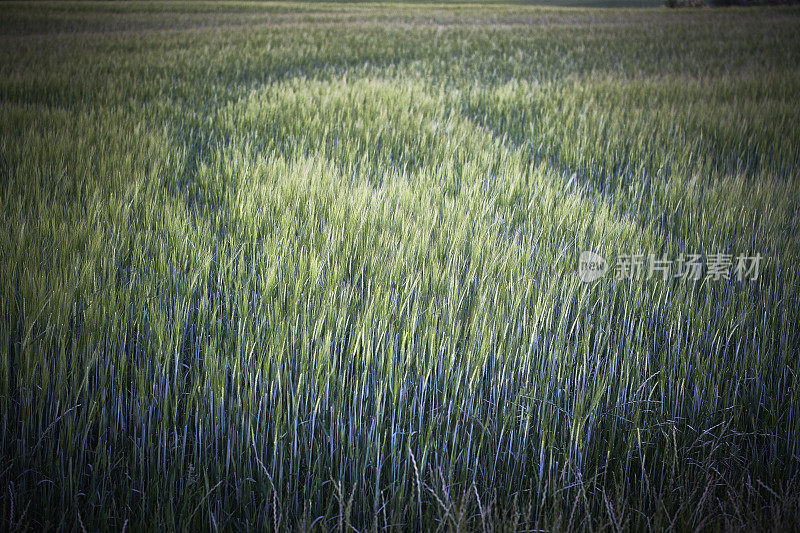 阜嫩山峦起伏