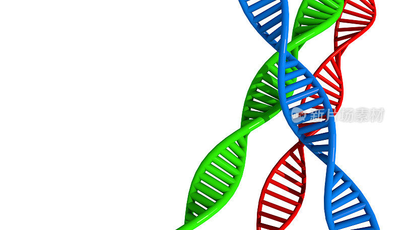 dna分子生物化学的概念