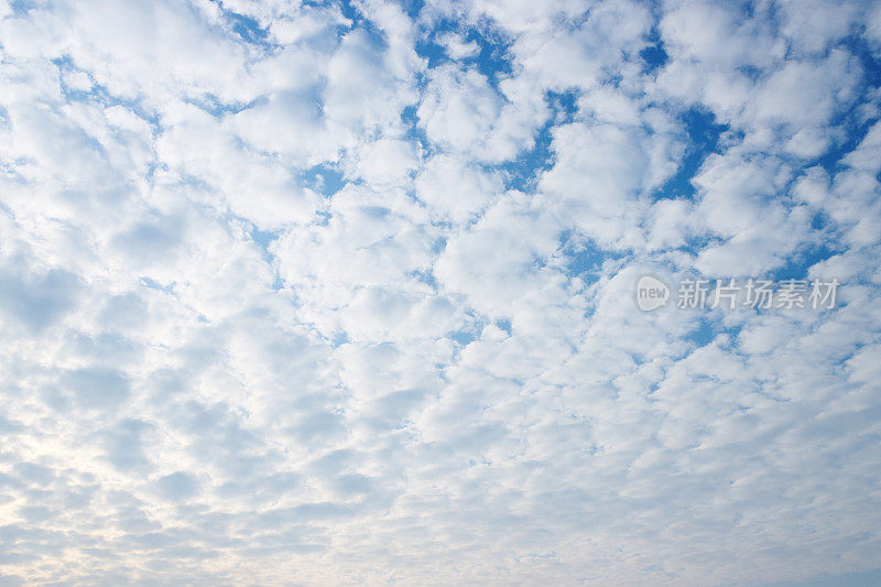 高音调的天空