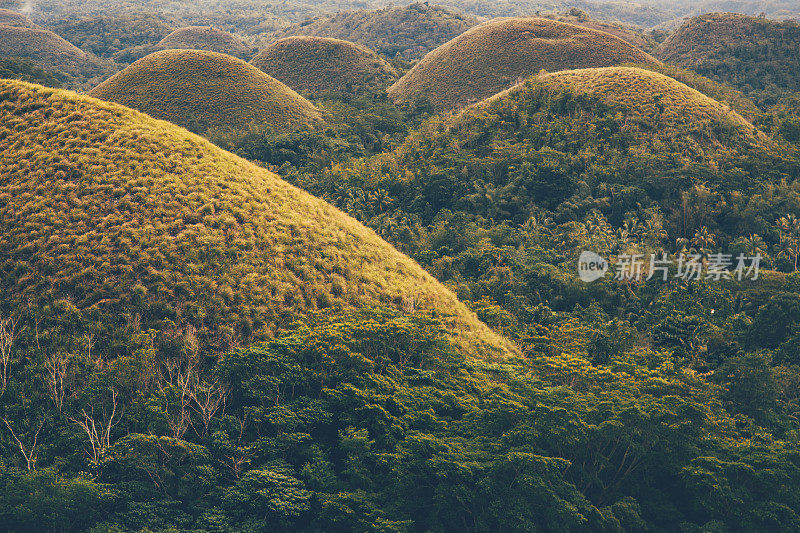 菲律宾保和岛的巧克力山。