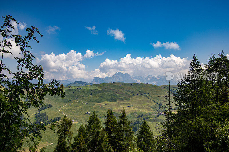 Siusi阿尔卑斯山