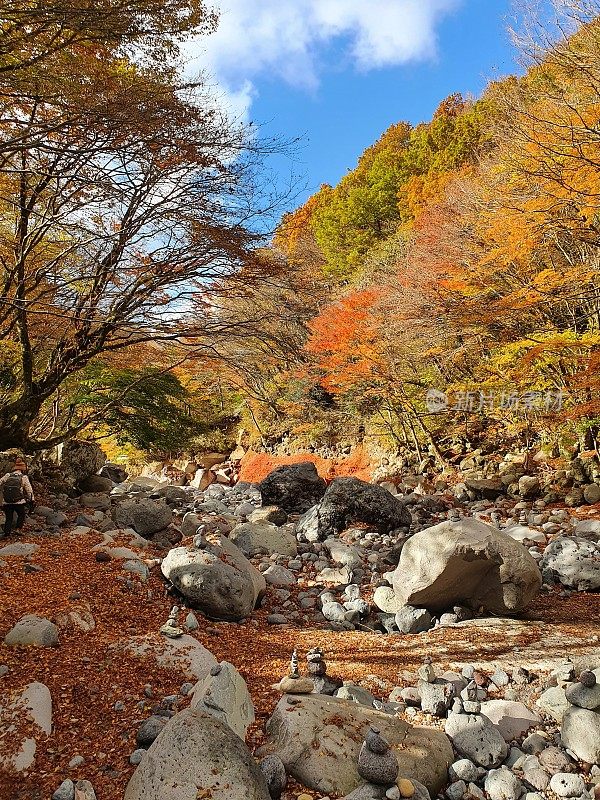 韩国济州岛的秋季景观