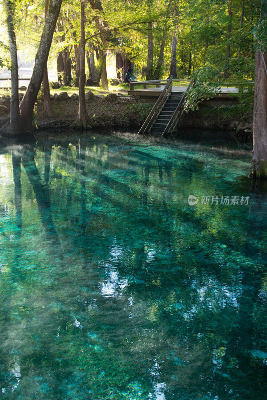 佛罗里达的游泳洞-夏季淡水泉