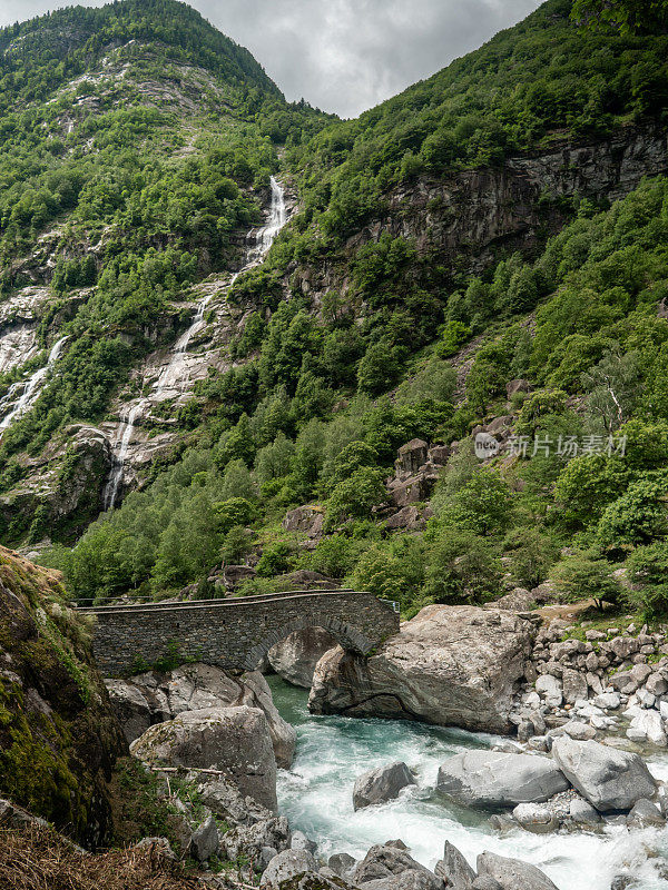 河流和郁郁葱葱的绿色森林，马贾山谷，提契诺