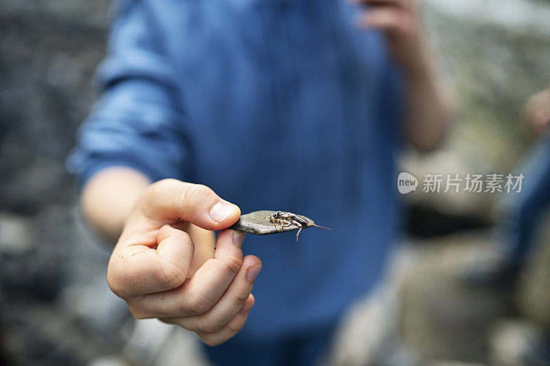 小男孩抱着一只石蝇停在河边的一块石头上