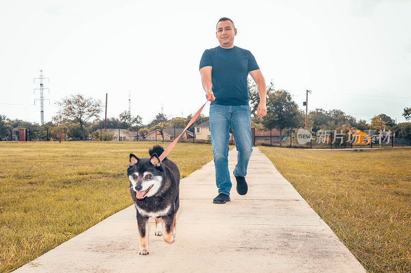 柴犬领跑