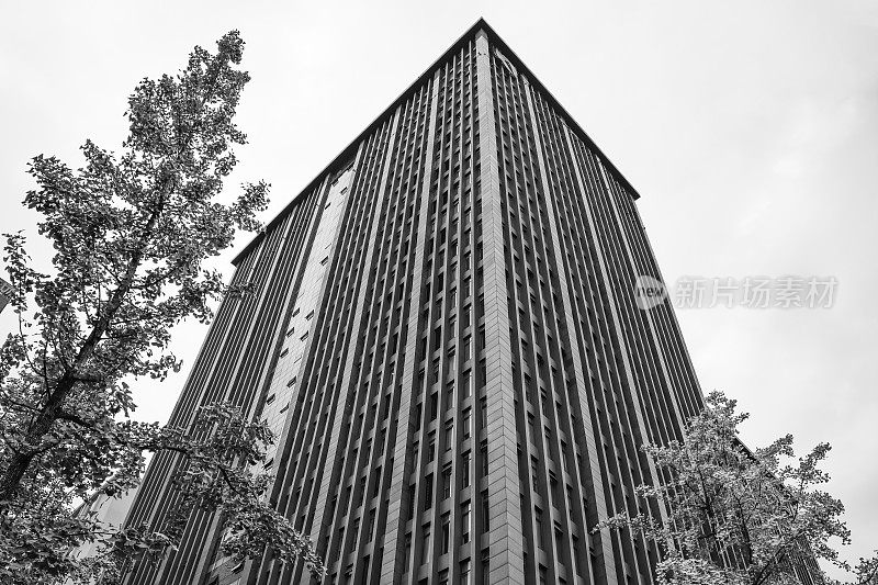黑白摄影:成都下午的现代建筑、树木、道路摄影